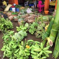 Port Vila Markets