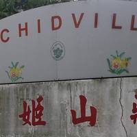 Orchidville