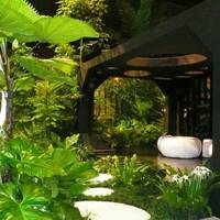 Nyee Phoe Flower Garden