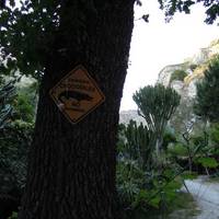 Sorgente Olmitello