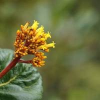 Chapada Imperial natural reserve