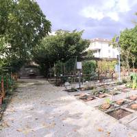 Orto Botanico di Lucca
