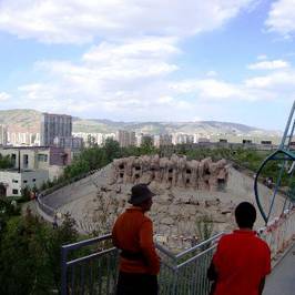 The Qinghai-Tibet Plateau Wild Zoo