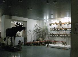 Музей природы Костромской области