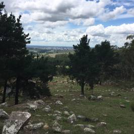 Cerro El Centinela
