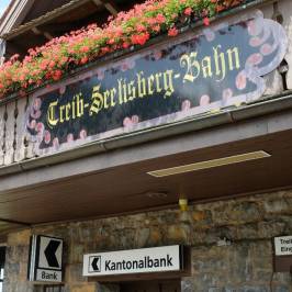 The Swiss Path