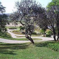 Feirarte do Jardim Botanico
