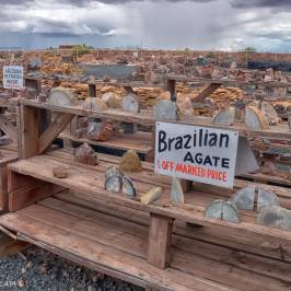 Jim Gray's Petrified Wood Co.