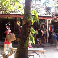 Railay Rock Climbing Shop - Day Adventures