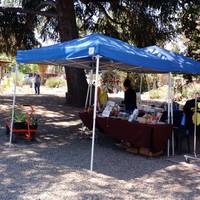 The Ruth Bancroft Garden
