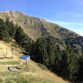 Turer Route Trail