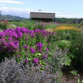 Ueno Farm