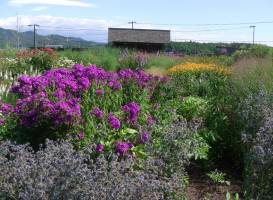 Ueno Farm