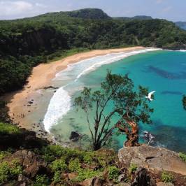 Baia do Sancho
