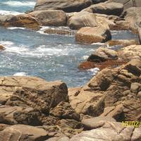 Galheta Beach
