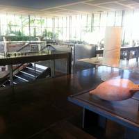 Vesunna Gallo-Roman Museum