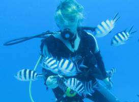 Atlantis International Diving Services