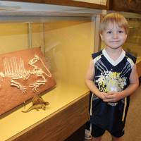 Stones 'n Bones Museum