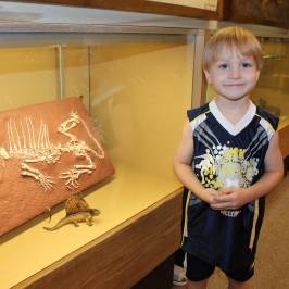 Stones 'n Bones Museum