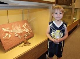 Stones 'n Bones Museum