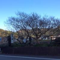 Okichigafuchi