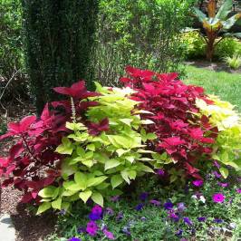 Tanger Family Bicentennial Garden