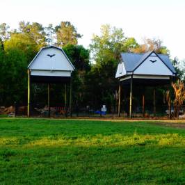 University of Florida Bat House