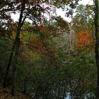 Louise Kreher Forest Ecology Preserve & Nature Center