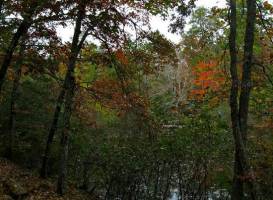 Louise Kreher Forest Ecology Preserve & Nature Center