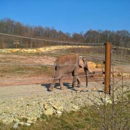 Zoopark Erfurt