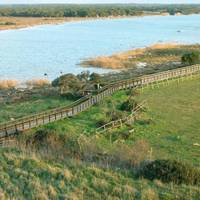 Riserva Naturale Scarlino