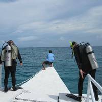 Dive and Adventure Philippines