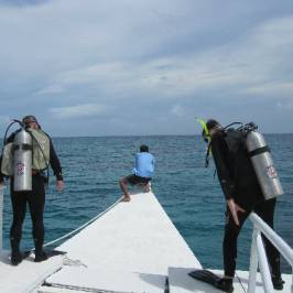 Dive and Adventure Philippines