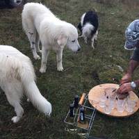 Wild Foods Italy