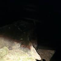 Temiya Cave