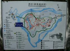 Xishuangbanna Rainforest