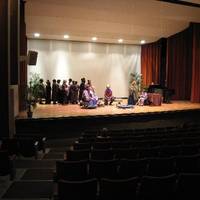 Flint Institute of Music