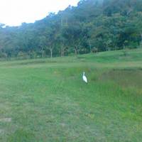 Atalaia Municipal Park