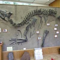 Museum of Geology and Natural History