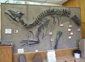 Museum of Geology and Natural History