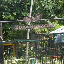 Guyana Zoological Park