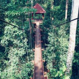 Peninsular Botanic Garden - Thung Khai