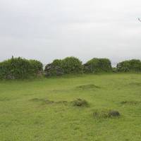 Maruokahan Hodaiato
