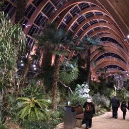 Sheffield Winter Garden