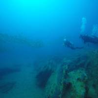 Cabo Pulmo Diving