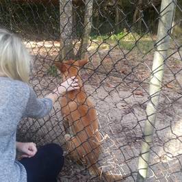 Daintree Wild Zoo