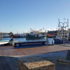 Fremantle Fishing Boat Harbour