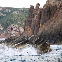 Alpana Excursions en Mer Day Tours
