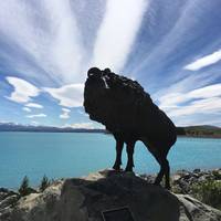 Mt. Cook Alpine Salmon Farm