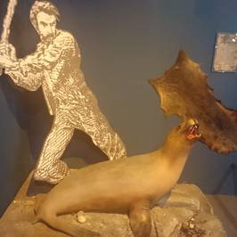 Southland Museum and Art Gallery